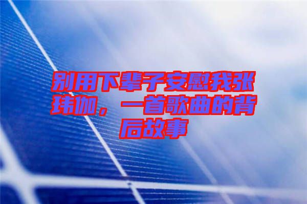 別用下輩子安慰我張瑋伽，一首歌曲的背后故事
