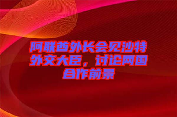 阿聯(lián)酋外長會見沙特外交大臣，討論兩國合作前景