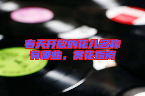 春天開放的花兒名稱有哪些，賞花指南