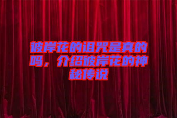 彼岸花的詛咒是真的嗎，介紹彼岸花的神秘傳說