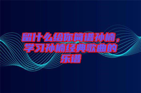 留什么給你簡(jiǎn)譜孫楠，學(xué)習(xí)孫楠經(jīng)典歌曲的樂(lè)譜