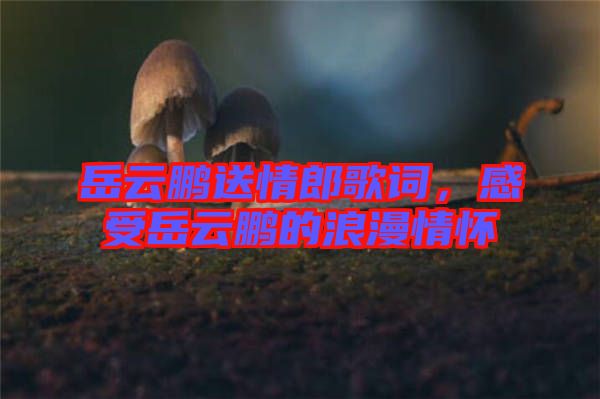 岳云鵬送情郎歌詞，感受岳云鵬的浪漫情懷
