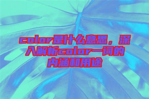 color是什么意思，深入解析color一詞的內(nèi)涵和用途