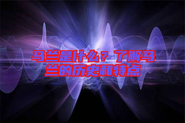馬蘭是什么？了解馬蘭的歷史和特點