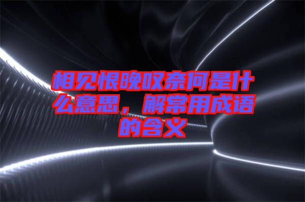 相見(jiàn)恨晚嘆奈何是什么意思，解常用成語(yǔ)的含義