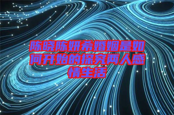 陳曉陳妍?；橐鍪侨绾伍_始的探究?jī)扇烁星樯? width=