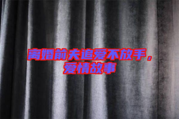 離婚前夫追愛不放手，愛情故事