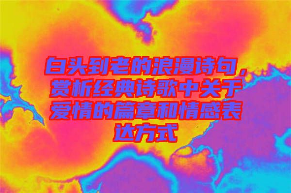 白頭到老的浪漫詩(shī)句，賞析經(jīng)典詩(shī)歌中關(guān)于愛情的篇章和情感表達(dá)方式