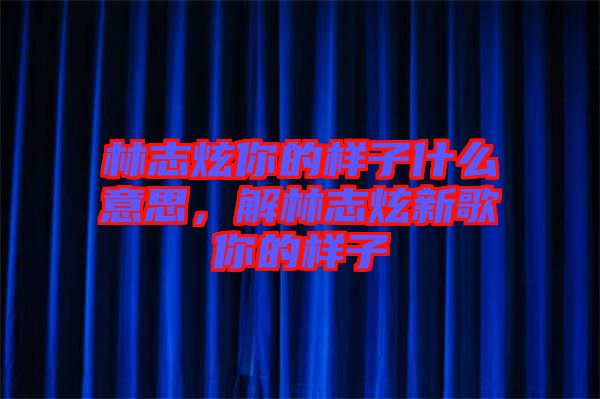 林志炫你的樣子什么意思，解林志炫新歌你的樣子