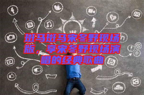 斑馬斑馬宋冬野現(xiàn)場(chǎng)版，享宋冬野現(xiàn)場(chǎng)演唱的經(jīng)典歌曲