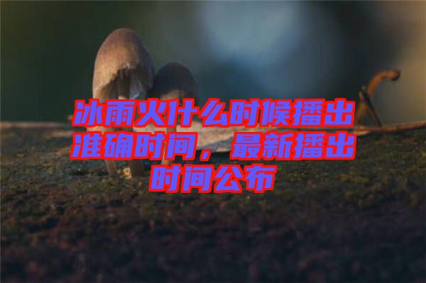 冰雨火什么時(shí)候播出準(zhǔn)確時(shí)間，最新播出時(shí)間公布