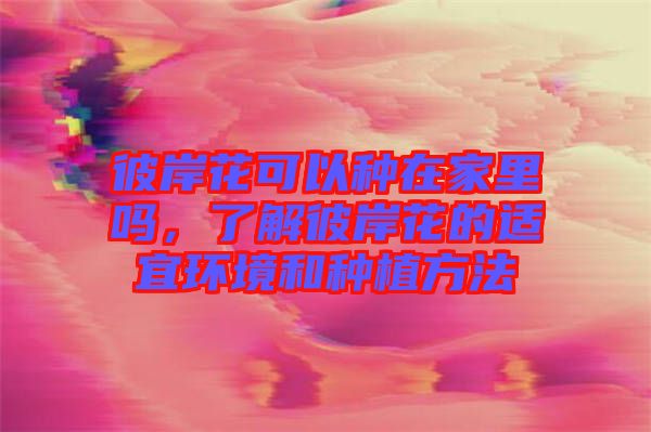 彼岸花可以種在家里嗎，了解彼岸花的適宜環(huán)境和種植方法