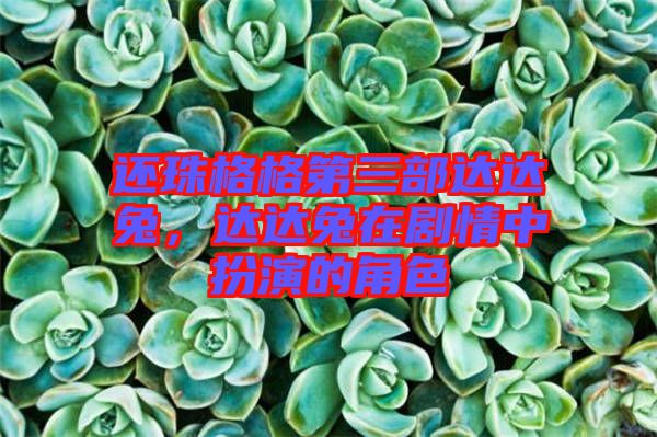 還珠格格第三部達(dá)達(dá)兔，達(dá)達(dá)兔在劇情中扮演的角色