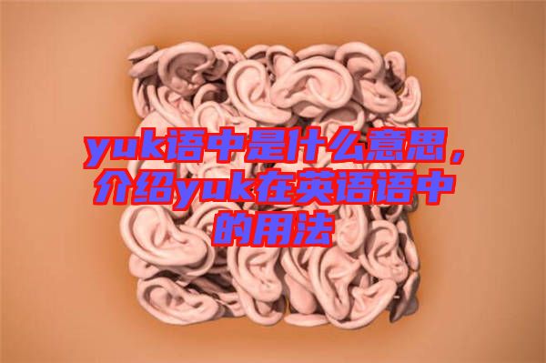 yuk語中是什么意思，介紹yuk在英語語中的用法