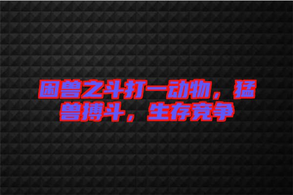 困獸之斗打一動物，猛獸搏斗，生存競爭