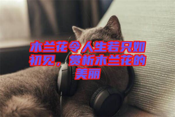 木蘭花令人生若只如初見，賞析木蘭花的美麗