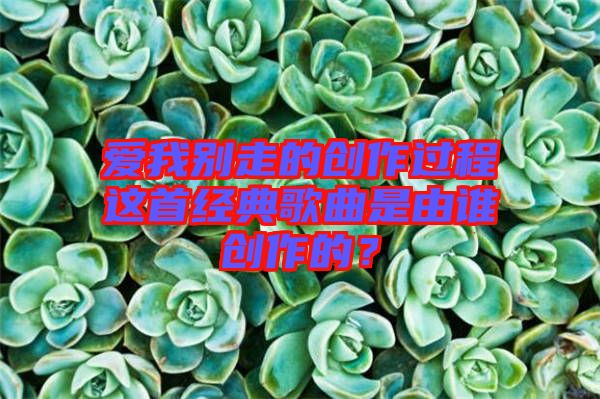愛我別走的創(chuàng)作過程這首經(jīng)典歌曲是由誰創(chuàng)作的？
