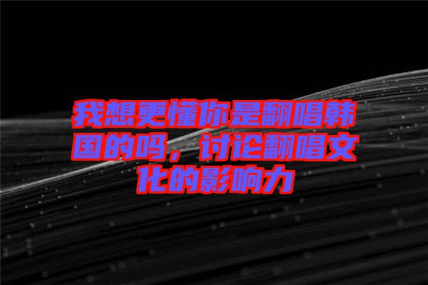 我想更懂你是翻唱韓國的嗎，討論翻唱文化的影響力