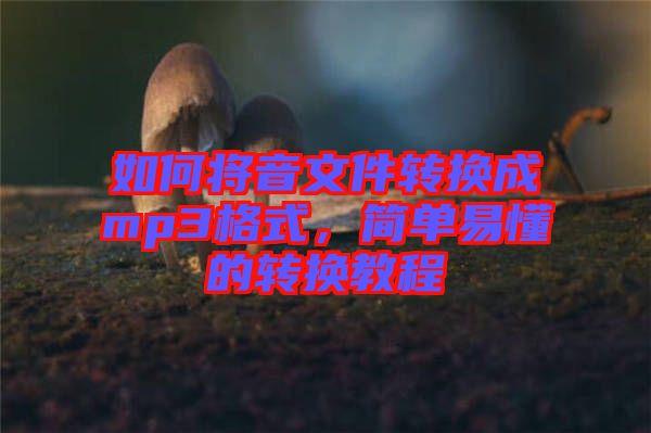 如何將音文件轉(zhuǎn)換成mp3格式，簡單易懂的轉(zhuǎn)換教程
