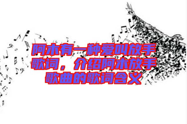 阿木有一種愛叫放手歌詞，介紹阿木放手歌曲的歌詞含義