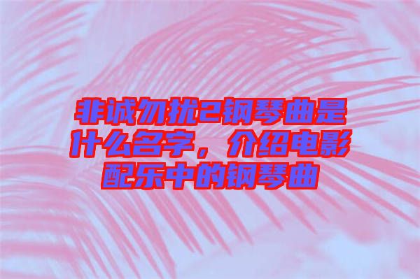 非誠(chéng)勿擾2鋼琴曲是什么名字，介紹電影配樂(lè)中的鋼琴曲