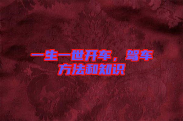 一生一世開車，駕車方法和知識(shí)