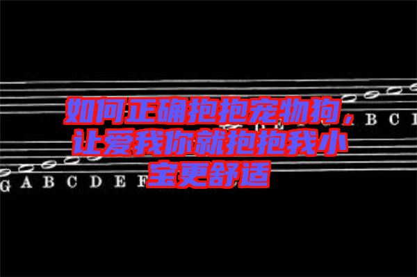 如何正確抱抱寵物狗，讓愛我你就抱抱我小寶更舒適