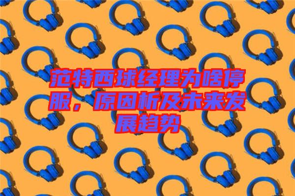 范特西球經(jīng)理為啥停服，原因析及未來發(fā)展趨勢