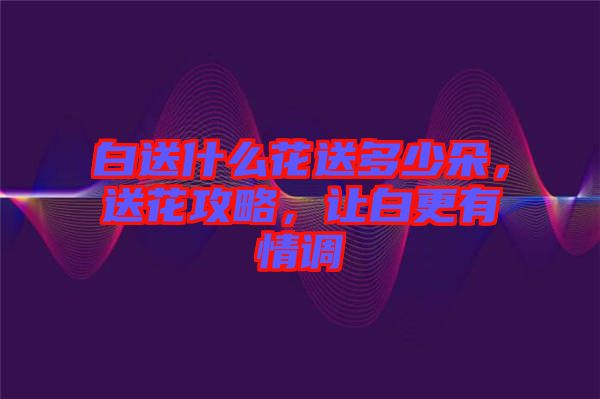 白送什么花送多少朵，送花攻略，讓白更有情調(diào)