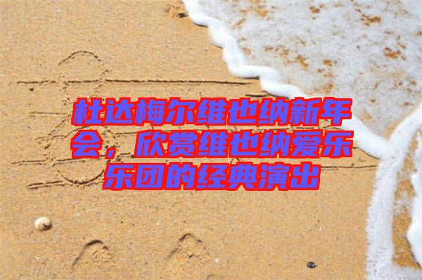 杜達(dá)梅爾維也納新年會(huì)，欣賞維也納愛樂樂團(tuán)的經(jīng)典演出