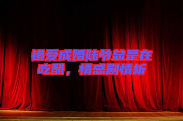 錯(cuò)愛成婚陸爺總是在吃醋，情感劇情析
