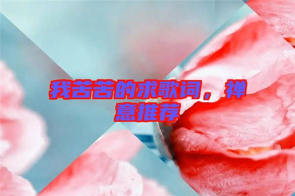 我苦苦的求歌詞，禪意推薦