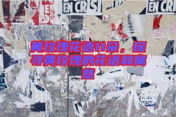 黃玫瑰花語11朵，探尋黃玫瑰的花語和寓意