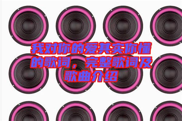 我對你的愛其實你懂的歌詞，完整歌詞及歌曲介紹