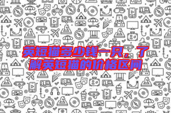 英短貓多少錢一只，了解英短貓的價(jià)格區(qū)間