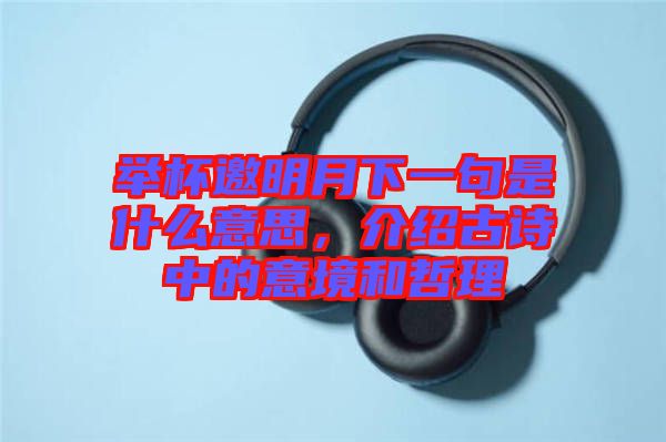 舉杯邀明月下一句是什么意思，介紹古詩(shī)中的意境和哲理