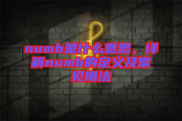 numb是什么意思，詳解numb的定義及常見(jiàn)用法