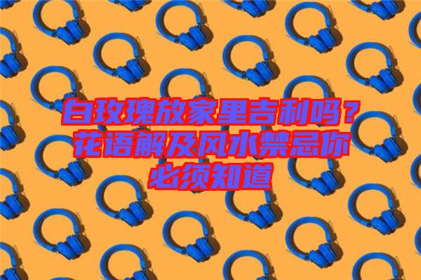 白玫瑰放家里吉利嗎？花語(yǔ)解及風(fēng)水禁忌你必須知道