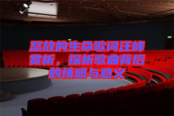 怒放的生命歌詞汪峰賞析，探析歌曲背后的情感與意義