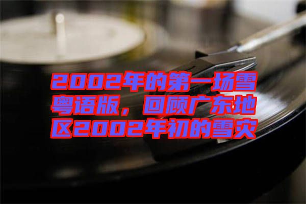 2002年的第一場雪粵語版，回顧廣東地區(qū)2002年初的雪災