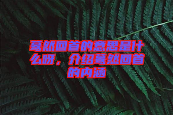 驀然回首的意思是什么呀，介紹驀然回首的內(nèi)涵