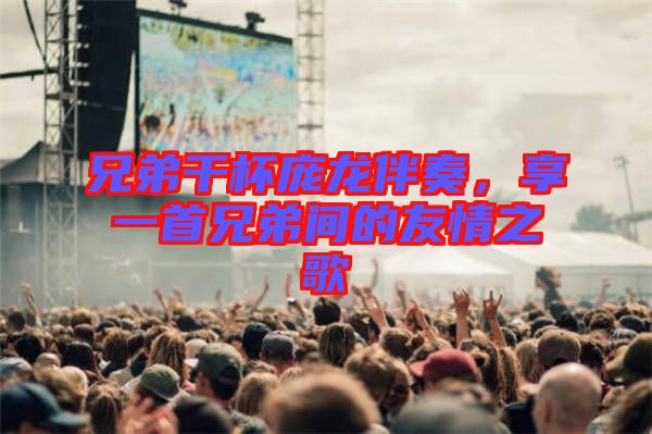 兄弟干杯龐龍伴奏，享一首兄弟間的友情之歌