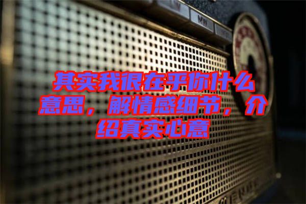 其實(shí)我很在乎你什么意思，解情感細(xì)節(jié)，介紹真實(shí)心意