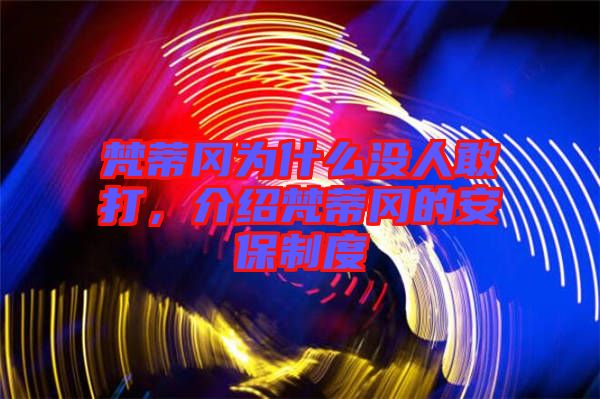 梵蒂岡為什么沒人敢打，介紹梵蒂岡的安保制度