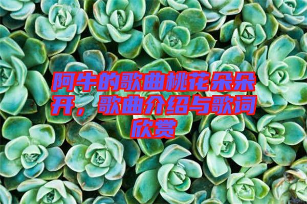 阿牛的歌曲桃花朵朵開，歌曲介紹與歌詞欣賞