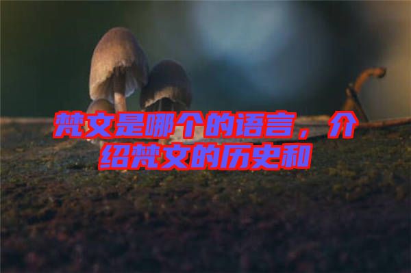 梵文是哪個的語言，介紹梵文的歷史和