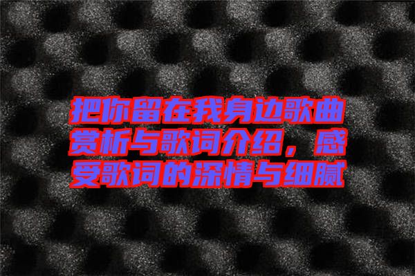 把你留在我身邊歌曲賞析與歌詞介紹，感受歌詞的深情與細(xì)膩