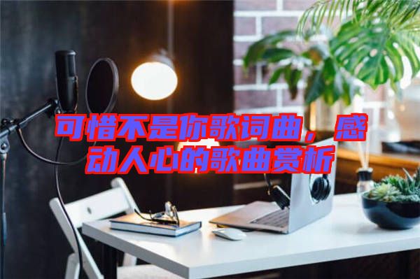 可惜不是你歌詞曲，感動(dòng)人心的歌曲賞析