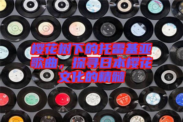 櫻花樹(shù)下的托雷基亞歌曲，探尋日本櫻花文化的精髓