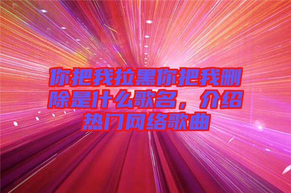 你把我拉黑你把我刪除是什么歌名，介紹熱門(mén)網(wǎng)絡(luò)歌曲